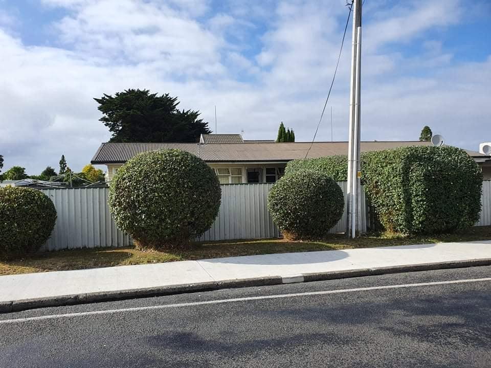 Shaped hedge balls, Hawke's Bay