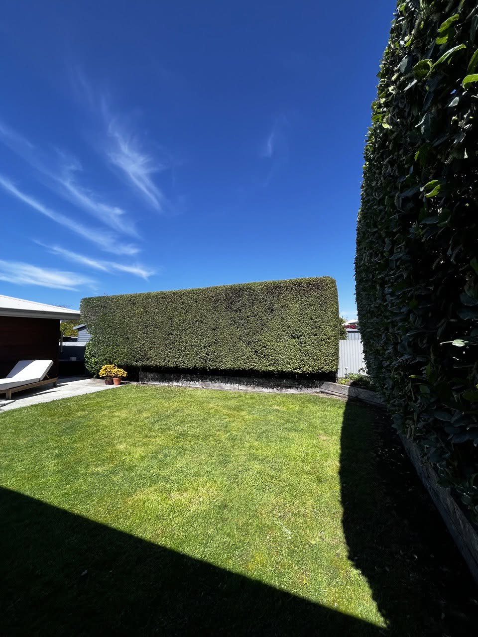 Neat hedge wall after trimming, Hawke's Bay