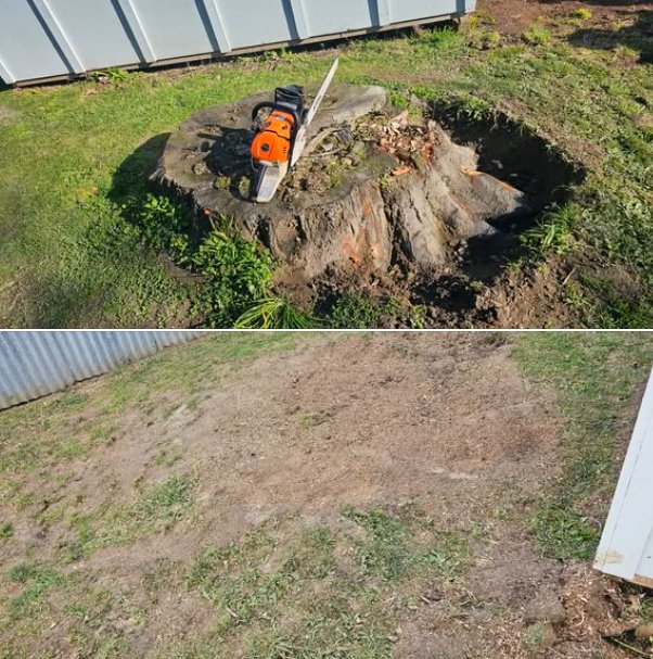 Stump grinding before and after